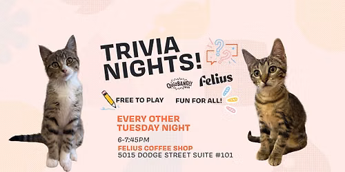Trivia Nights at Felius