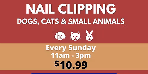 Nail Clipping - $10.99 \ud83d\udc3e