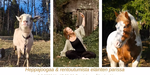 Heppajoogaa ja rentoutumista el\u00e4inten parissa