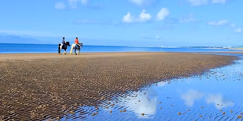 Irvine Beach Endurance Ride (2)