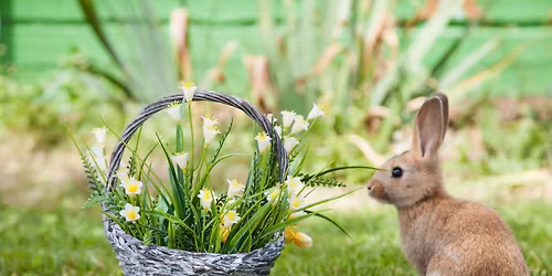 Easter basket assembly for Project Noelle