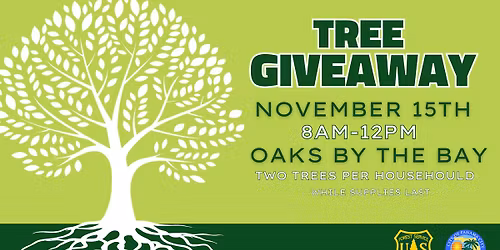 Panama City Tree Giveaway