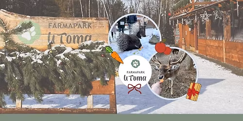\u0160t\u011bdrodenn\u00ed krmen\u00ed zv\u00ed\u0159\u00e1tek ve Farmaparku u Toma