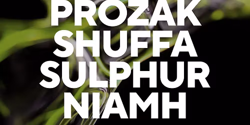 Prozak, Shuffa, Sulphur & Niamh