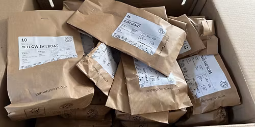 Community bulb planting - New street burial ground