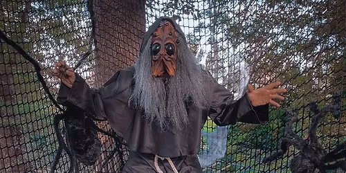 Arachnophobia Family-Friendly Halloween Experience