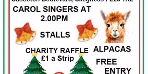 Christmas Stall day with santa visit and Alpachas.