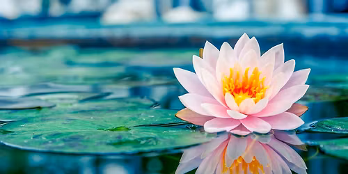 Yoga for Recovery - Free class