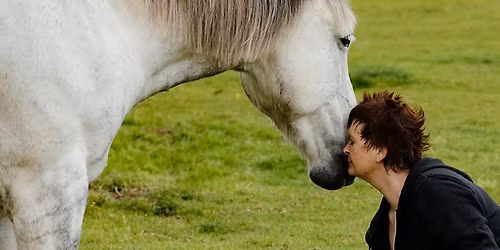 THE HARMONY HORSE RETREAT