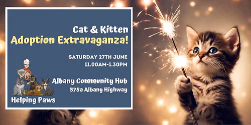 Rescued Cat & Kitten Adoption Extravaganza!