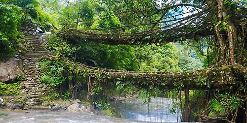 Kaziranga & Meghalaya