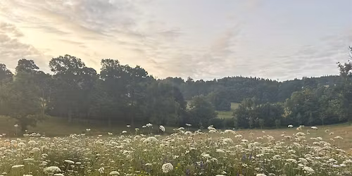 Summer tour of the Faldonside estate- a small rewilding site