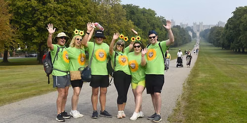 Sunflower Walk 2026