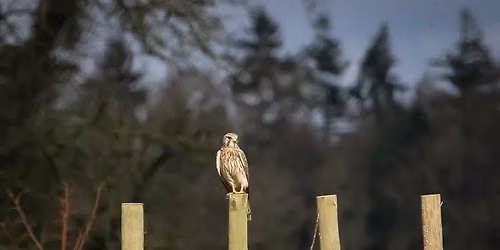 Evening Wildlife Walk with Supper