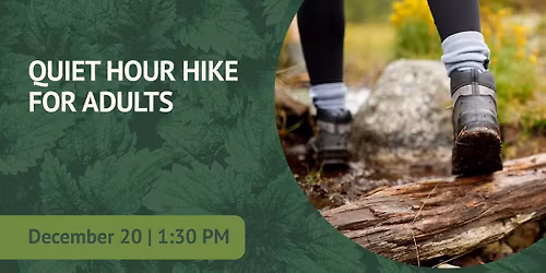 Quiet Hour Hike for Adults