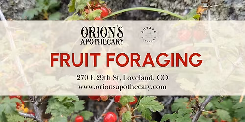Fruit Foraging in Colorado with Orion Aon