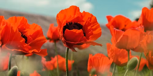 Open Doubles Dart Tournament