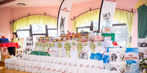 KLUBOV\u00c1 V\u00ddSTAVA AMERICK\u00ddCH KOKR\u0160PAN\u011aL\u016e (bez titulu KV) 16.5.2026