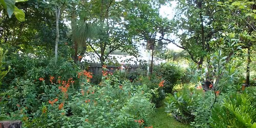 Water-Wise Workshop: Florida-Friendly Landscape Design by Eco System