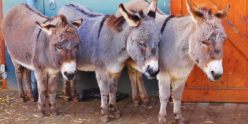 Good Friday Open Day 