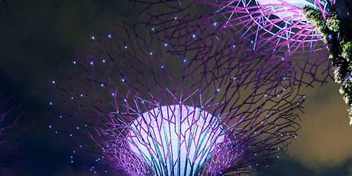 Marina Bay Night Cycling Tour