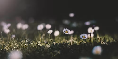 Caf\u00e9 mortel - \u00c9t\u00e9 2026