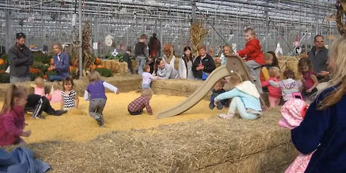 Annual Fall Festival (Sept 26th–Oct 31st)