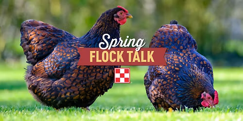 Flock Talk: Aloha