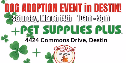 Dog Adoption Event in Destin!