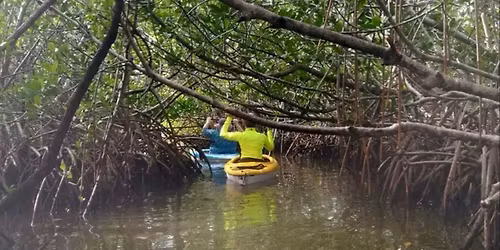 Cocoa Beach Mangrove Kayak - BYOB (Bring Your Own Boat )