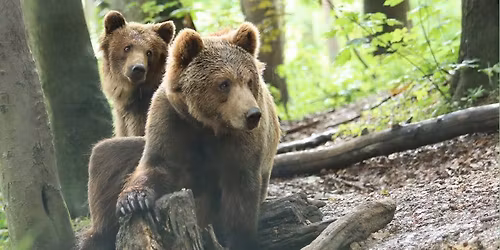 gro\u00dfe Ostereiersuche