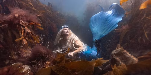 The Mermazing Mermaid Meet Up 2026