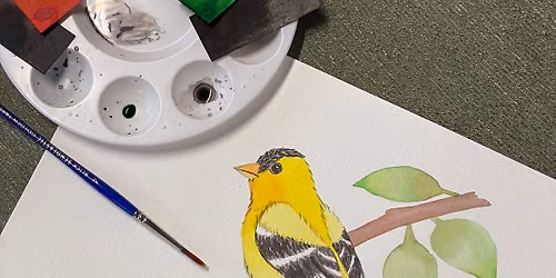 Just Add Water: A Beginner\u2019s Watercolor Experience