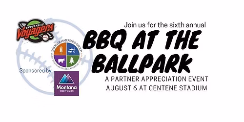SRWG BBQ at the Ballpark