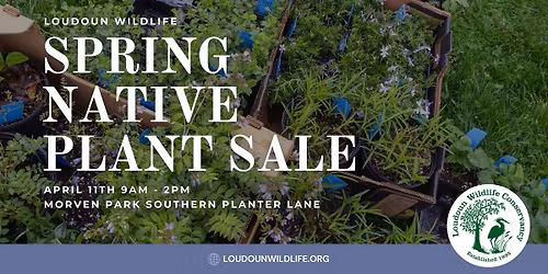 Spring Native Plant Sale at Morven Park