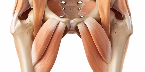 Yoga for Pelvic Floor Health