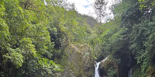 Reiki Basics Mentorship 