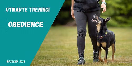 Otwarty trening obedience - praca r\u00f3wnoleg\u0142a 