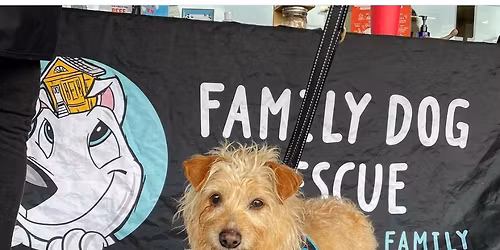 Weekly Sonoma PFE Adoption Event