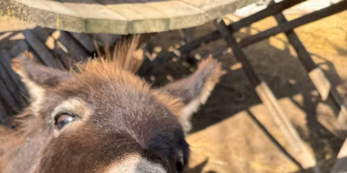 Sunday Afternoon Coffee Chat Time