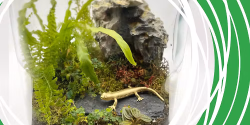 Terrarium Workshop with Pink Fern 