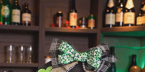 Let The Shenanigans Begin Door Hanger Paint Party