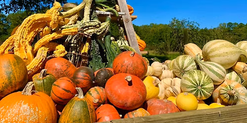Four Seasons at Richland Creek Farm "Harvest Season" with artist Maria Villegas \u2022 Sept 19