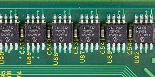 Digital Conservation: Promises and Pitfalls, Practices and Perspectives