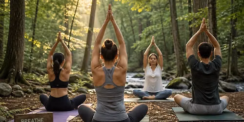 Yoga in the forest with Erin