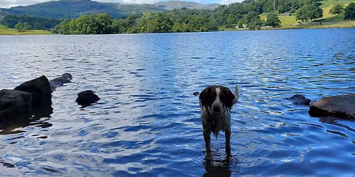 Rydal Water and Loughrigg Fell