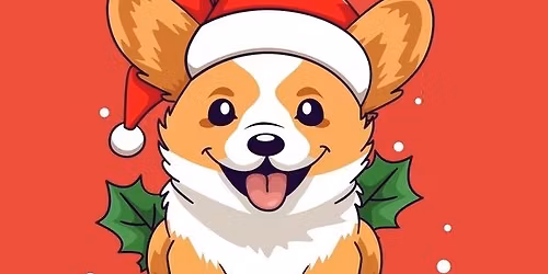 December Indoor Corgi Meet Up at Stylin Paws Play Place