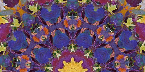 Studio Saturdays: Nature's Abundance Collages