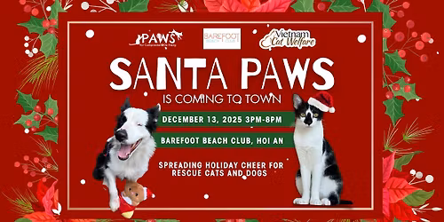 Santa Paws Is Coming To Town \ud83d\udc3e\ud83c\udf84
