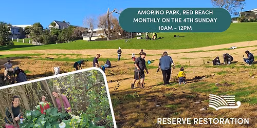 Amorino Park - Volunteer Restoration Morning